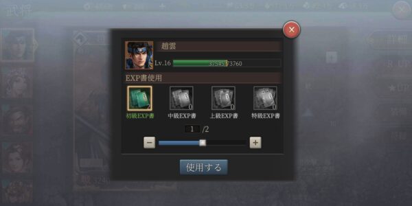 正伝三国志のレベル上げ画面