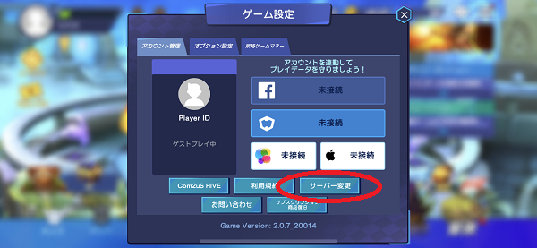 スカイランダーズ　設定画面