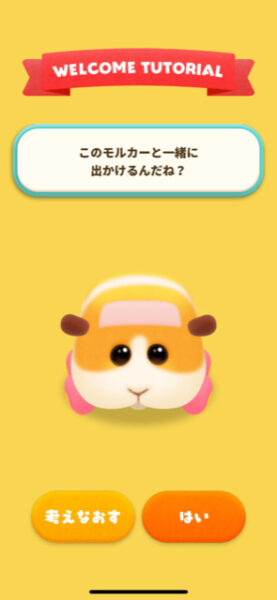 ぷいパズ モルカ―選択